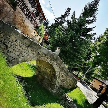 Самостоятелни Стаи Дони * コプリフシティツァ